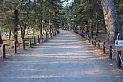 �g���C���C�g�E���[�����[�h�k�Ƃ킢�炢�ƁE��[���[�ǁl