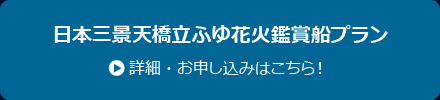 日本三景天橋立ふゆ花火鑑賞船プラン