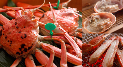 Matsuba crab November 6 to March 20