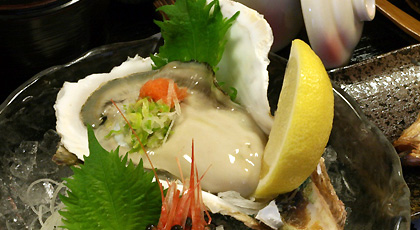 Oyster June to August