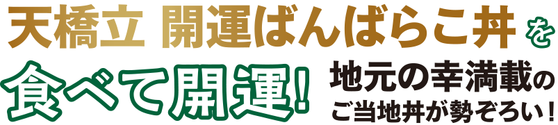 天橋立　開運ばんばらこ丼