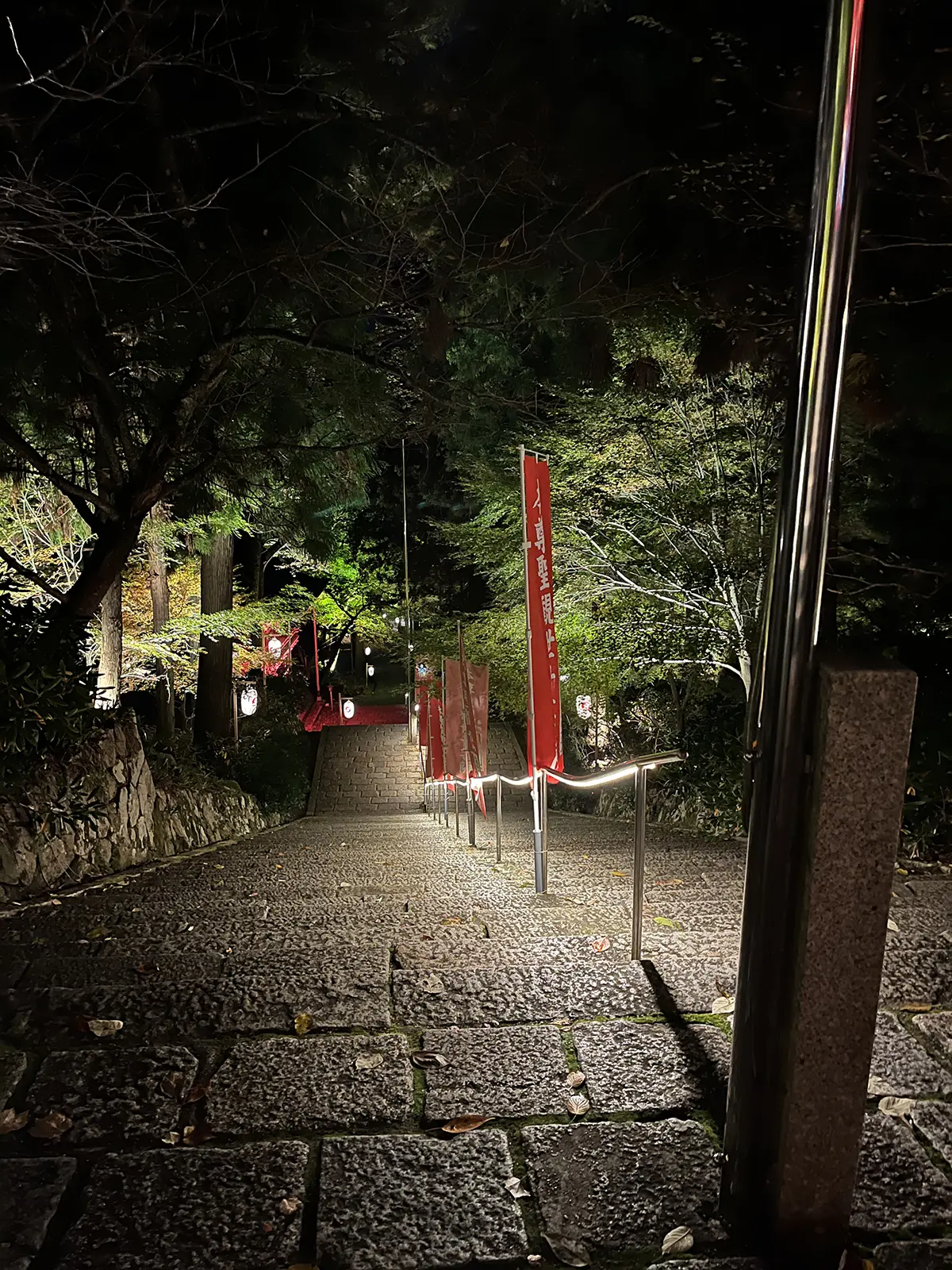 成相寺紅葉ライトアップ03