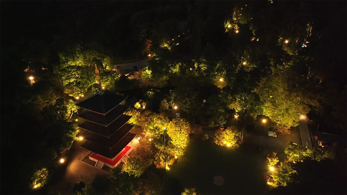 成相寺紅葉ライトアップ01