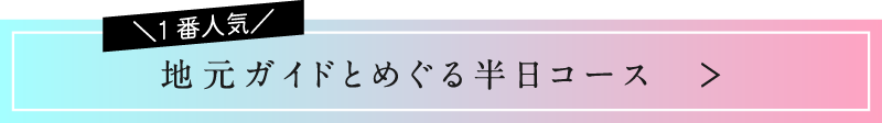 1番人気 地元ガイドとめぐる半日コース