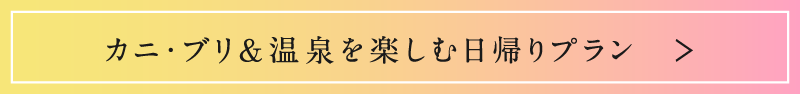 カニ・ブリ＆温泉を楽しむ日帰りプラン