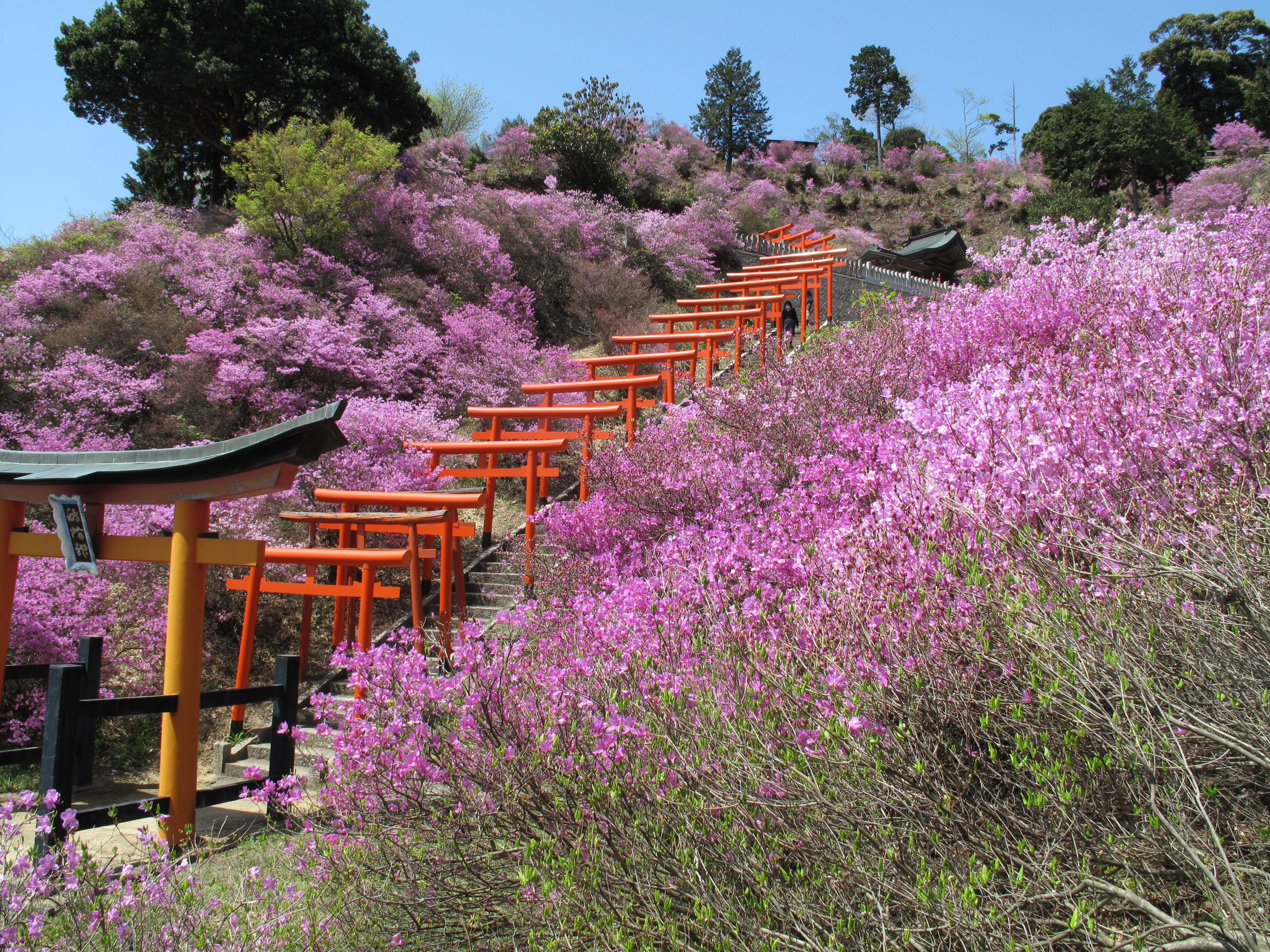 amanohashidate seasonal image03