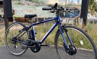 Rental E-bike