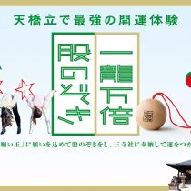 一龍万倍股のぞき