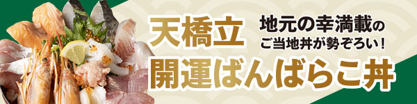 天橋立ばんばらこ丼